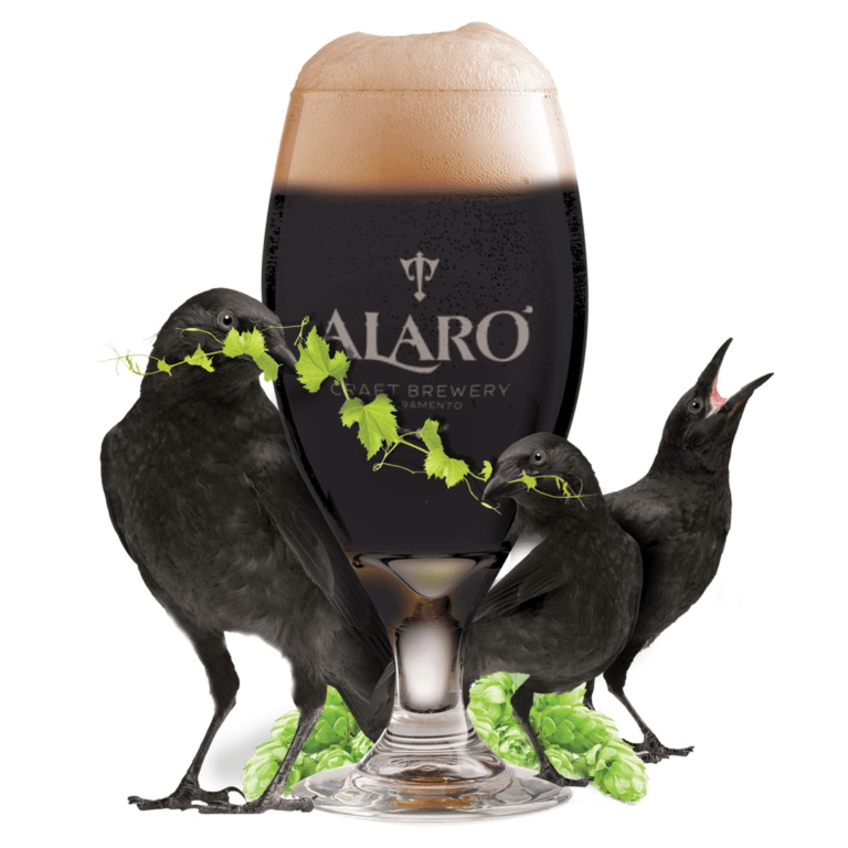 Alaro Brewing - 3 Crows Black Lager
