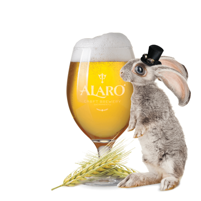 Alaro Brewing - Rabbit Hole